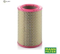 C17192 Air Filter (Brand Mann Filter)