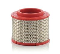AIR FILTER C23107