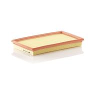Engine Air Filter Insert MANN C29020