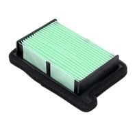 Air filter cleaner Motorcycle Air Filter For Tiger Sport 660 2022-2024 For Trident 660cc 2021-2024 T2205986