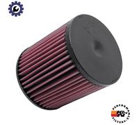 AIR FILTER E-2999 FOR AUDI CGXC/CTDA/CREC/CMDA/CTUB 3.0L 6cyl A8