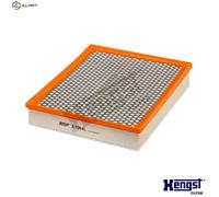 Air Filter Hengst E1064L Fits BMW X5 X6