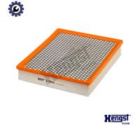 Air Filter Hengst E1064L Fits BMW X5 X6