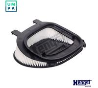 Hengst & Co Air Filter E1073L for BMW X3 X5 X6