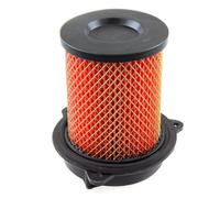 Air Filter Element compatible with Lexmoto Tempest 125 Euro 5 LJ125-9A-E5/Tempest 125 LJ125-9A/Tempest GT 125 Euro 5 LJ125-9A-GT-E5/Tempest GT 125 LJ125-9A-GT