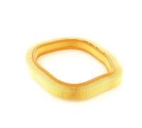 Bosch Car Air Filter S9787 - 1457429787