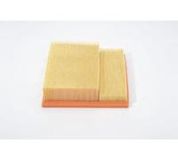 Bosch Air Filter 502220677