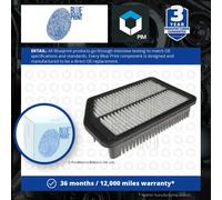 ADG022115 Air Filter, pack of one