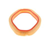 Bosch Car Air Filter S9787 - 1457429787