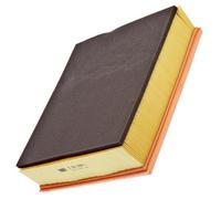 MANN-FILTER, C 32 338/1 Air Filter