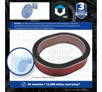 Air Filter ADN12207 Blue Print 16546D1100 16565V5400 Genuine Quality Guaranteed