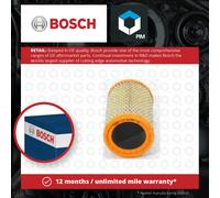 Bosch Air Filter 502745237