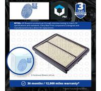 BLUE PRINT ADG022149 Air filter