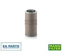 Air Filter C17250 Mann 2339823 42522554 05821087 595651505 2323855 Quality New