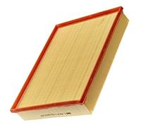 Mann+Hummel Air Filter - C43121