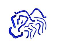 Air Filter Intake Hose for A4 B5 AWT 1.8T Silicone Radiator Coolant Hose Need Use The Quick Connectors(Blue)