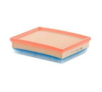 MANN-FILTER C 24 036 Air Filter - for Cars + Transporters
