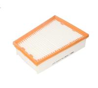 Air filter MANN-FILTER C 2538 for RENAULT SCENIC II (JM0/1_) 2 2005-2008
