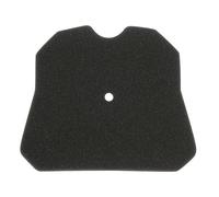 Air Filter Miw Cagiva Mito 125 : P5125 Cagiva 125 Mito 06/14