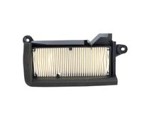 Air Filter Miw Crankcase Left Yamaha T-Max 560 22 /> : Y4291 Yamaha