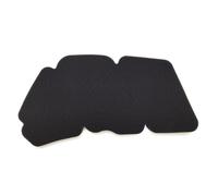 Air Filter Miw Peugeot 125 Citystar/Satelis : PG34110 Peugeot