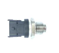 Air Flow Meter Air Sensor OEM 0281006325 Fuel Rail Pressure Sensor Fit For FFORD Fit For IVVECO Fit For VW Fit For Constellation Fit For Delivery