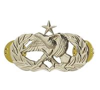 Air Force Badge: Air Maintenance : Senior - regulation size, Metal, no gemstone