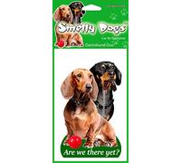 Air Fresheners Dachshund Duo Dog Gift - 2 x Delightful Car