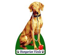 Air Fresheners Hungarian Vizsla Dog (with lead) Gift - 2 x Delightful Car