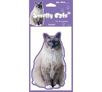 Air Fresheners Ragdoll Cat Gift - 2 x Delightful hanging Car