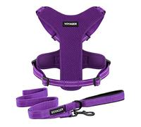 Air Frontier Mesh Dog Harness with and Reflective Dog Leash Set, Reflective Stitching, and Lightweight Breathable No-Pull Design, Adjustable Neck and Chest Straps for Small to Large Breeds - PPW, XS