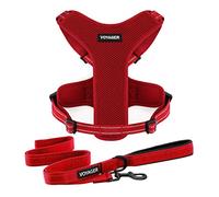 Air Frontier Mesh Dog Harness with and Reflective Dog Leash Set, Reflective Stitching, and Lightweight Breathable No-Pull Design, Adjustable Neck and Chest Straps for Small to Large Breeds - RDW, M