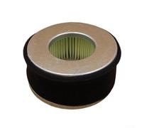 Air Intake Filter Compatible with L40 L48 L60 L70 L75 Models and Engine Assemblies Referenced by 114250 12580 114650 12540 114250 12581 (1pc)