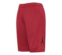 Air Jordan Rise Striped Triangle Logo Printing Quick Dry Knit Basketball Shorts Red BV5265-687 M