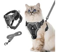 Air Mesh Breathable Chest Harness, Adjustable Cat Harness with 1.5 m Lead, Reflective Soft Padded Dog Harness, Escape Proof Dog Harness for Puppies, Rabbits, Cats (M)