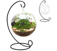 Air Plant Terrarium, With Black Iron Stand Clear Glass Terrariums for Plants, Hanging Funny DIY Air Plant Terrarium Kit, For Plants Small Kit