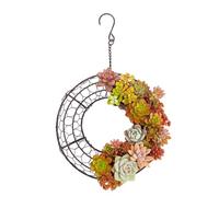 Air Plants Live Holders - Wall Mount Aesthetic Flower Display,Door Wreath Holder Flower Hanger - for Living Room Balcony Patio Porch Office Apartment Farmhouse Restaurant Cafe