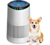 Air Purifier with Filtration - 360° All-Round Purification Essential Oil Diffuser Quiet Mini Lightweight for Home Pet Dander & Odors