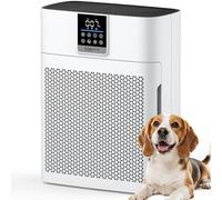 Air Purifiers for Home Large Room up to 2180 Sq Ft, DBFIT HEPA Air Purifier with Washable Nylon Pre-Filter, PM2.5 Air Quality Sensor, Air Cleaner for Pet Hair, Odor, Smoke, Dust, Pollen AP2410