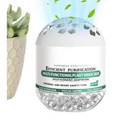 Air Purifiers for Home | Plant-Based Freshness Purification Accessories,Air Purification Dust Collector | for Office Bedroom Pet Areas Car New House Closet