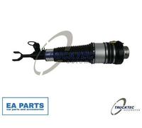 Air Spring Strut for AUDI A6 TRUCKTEC AUTOMOTIVE 07.30.059 fits Front Axle Right