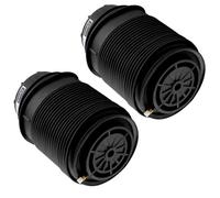 Air Spring Suspension Bag Compatible With Benz For E-Class W212 S212 2010 2011 2012 2013 2014 2015 2016 Car Rear Air Suspension Bellow Bag 2123200725 2123200825