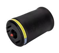 Air Spring Suspension Compatible With For X5 E53 2000 2001 2002 2003 2004 2005 2006 2007 Rear Left Air Suspension Spring Bellows Bag Air Spring 37126750355