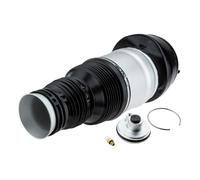 NTY EZC-ME-194 Air Spring, suspension