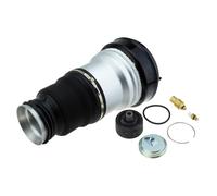 NTY EZC-ME-197 Air Spring, suspension