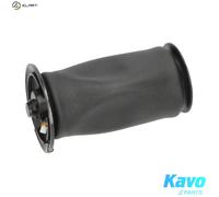 AIR SPRING SUSPENSION SAS-10005 FOR BMW N43B20A N47D20A/C M47D20 2.0L 4cyl 5 E61