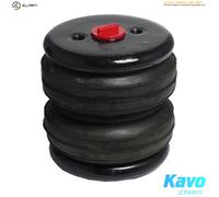 AIR SPRING SUSPENSION SAS-10065 FOR PEUGEOT BOXER/Van/Bus/Platform/Chassis 2.2L