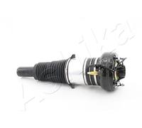 Air Strut fits AUDI A8 D4 4.2 Front 09 to 12 Suspension Ashika 4G0616039AK New