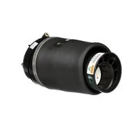 A-2934 Front Left NS Air Suspension Spring Strut Shock Absorber By Arnott