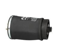 Arnott A-2502 Air Spring, suspension